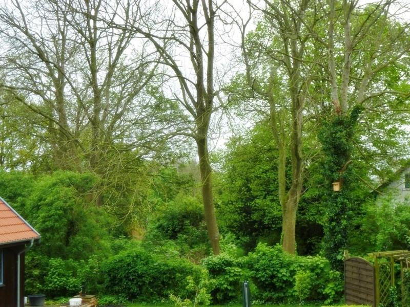 Gesine'S Huuske Villa Eilsum Luaran gambar